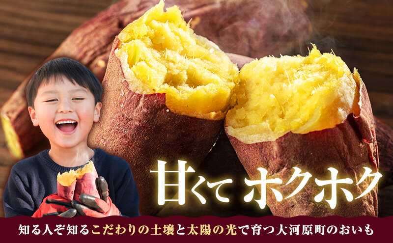 【ふるさと納税】さつまいも 約10kg 2種詰合せ 紅はるか ふくむらさき サツマイモ 宮城県産 甘い 秋 冬 スイーツ 産地直送 宮城県 大河原町　お届け：2026年11月1日～2027年2月28日 - 画像3