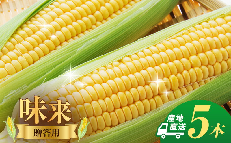 【ふるさと納税】とうもろこし 味来 贈答用 5本 トウモロコシ 宮城県産 甘い 夏 朝採れ 産地直送 宮城県 大河原町　お届け：2026年7月中旬から8月下旬まで - 画像2