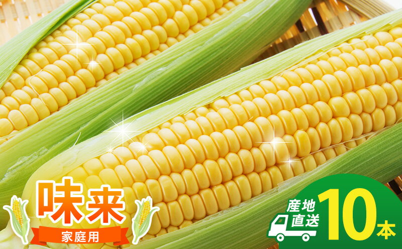 【ふるさと納税】とうもろこし 味来 家庭用 10本 訳アリ トウモロコシ 宮城県産 甘い 夏 朝採れ 訳あり 産地直送 宮城県 大河原町　お届け：2026年7月中旬から8月下旬まで - 画像2