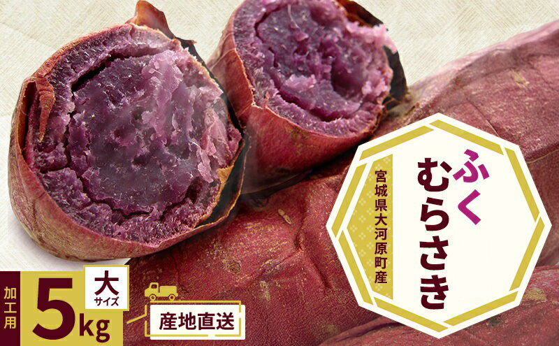 【ふるさと納税】さつまいも 約5kg ふくむらさき 加工用 大きいサイズ サツマイモ 宮城県産 甘い 秋 冬 スイーツ いも 産地直送 宮城県 大河原町　お届け：2026年11月1日～2027年2月28日 - 画像2