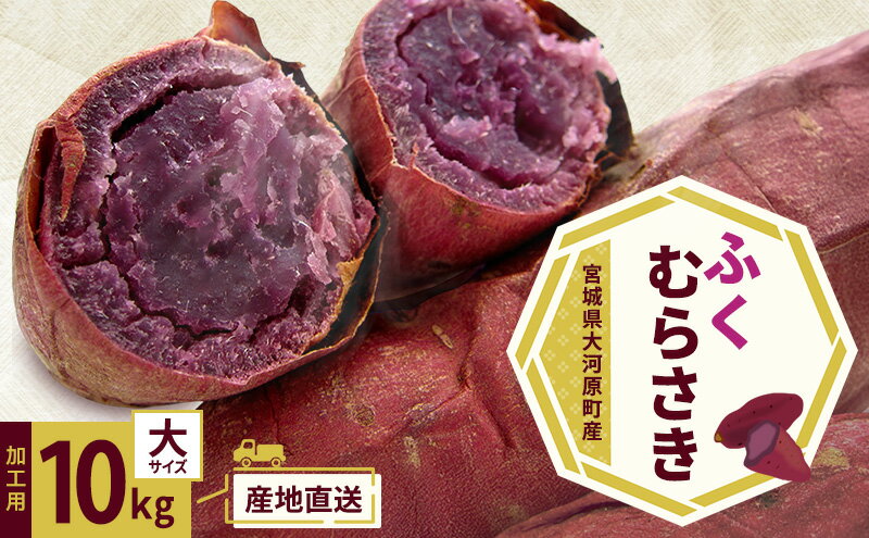 【ふるさと納税】さつまいも 約10kg ふくむらさき 加工用 大きいサイズ サツマイモ 宮城県産 甘い 秋 冬 スイーツ いも 産地直送 宮城県 大河原町　お届け：2026年11月1日～2027年2月28日 - 画像2