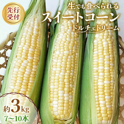 【先行予約2026年】とうもろこし　ドルチェドリーム　約3.0kg　数量限定【配送不可地域：離島】【1451276】