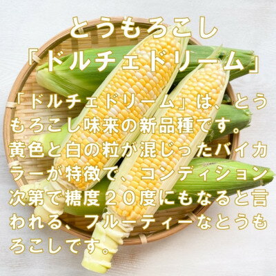 【ふるさと納税】【先行予約2026年】とうもろこし　ドルチェドリーム　約3.0kg　数量限定【配送不可地域：離島】【1451276】 - 画像2