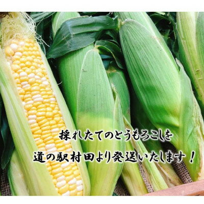 【ふるさと納税】【先行予約2026年】とうもろこし　ドルチェドリーム　約3.0kg　数量限定【配送不可地域：離島】【1451276】 - 画像3