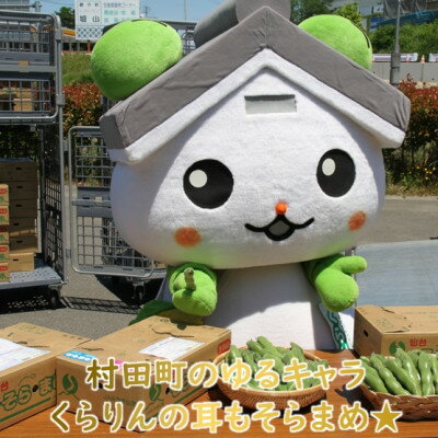 【ふるさと納税】【先行予約2026年】そらまめ 約4kg Mサイズ 宮城県村田町産【配送不可地域：離島】【1451278】 - 画像3