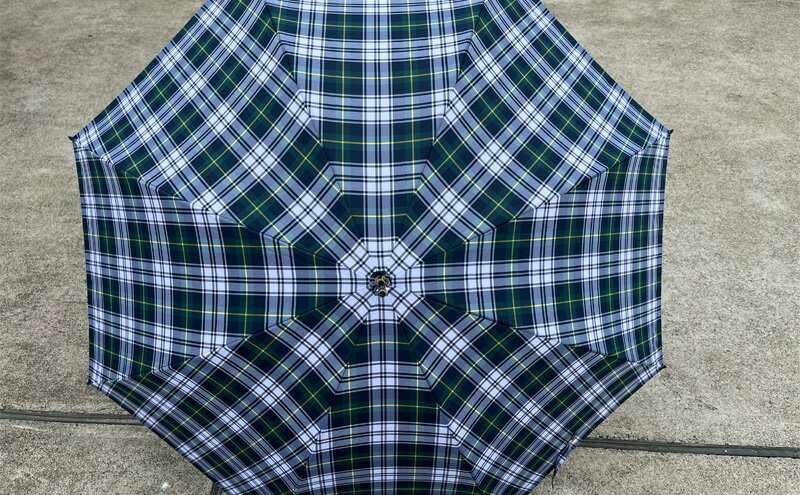 【ふるさと納税】【 かさ 】雨傘 格子柄 駒取り 58cm［グリーン］（共袋付）男女共用 1本 雑貨 日用品 ファッション小物 民芸品 工芸品 伝統技術 サムネイル3