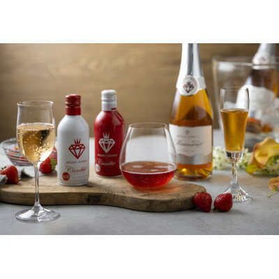 国産苺スパークリングワイン ミガキイチゴ・ムスー720mlミガキイチゴ・カネット(赤白各290ml)【配送不可地域：離島】【1047417】