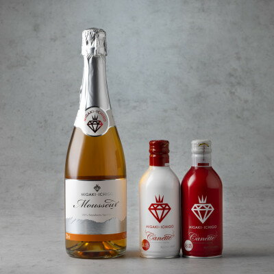 【ふるさと納税】国産苺スパークリングワイン ミガキイチゴ・ムスー720mlミガキイチゴ・カネット(赤白各290ml)【配送不可地域：離島】【1047417】 サムネイル2