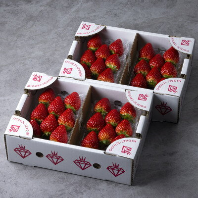 (農場直送)ミガキイチゴ・レギュラー(250g×4パック)_ いちご イチゴ 苺 フルーツ 果物 スイーツ 農場直送 美味しい 甘い 人気 送料無料 贈答 ギフト 宮城 【1339603】