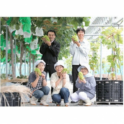 【ふるさと納税】【2026年　秋発送分】～シャインマスカット～　2～3房(約1.1kg)Domaine MARUTA【配送不可地域：離島】【1449581】 サムネイル2