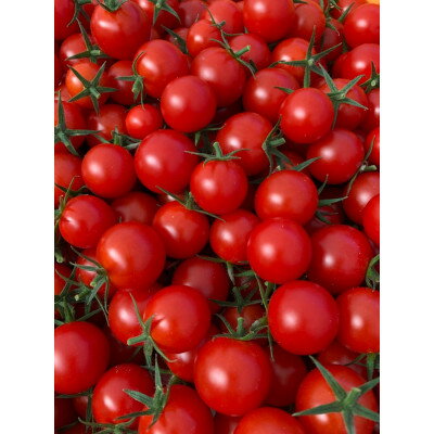 【ふるさと納税】【発送月固定定期便】山のふ元のあまトマト(フルティカ・小鈴の詰め合わせセット)全6回【配送不可地域：離島】【4079900】 - 画像2