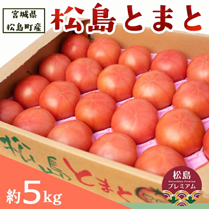 松島とまと ／ トマト 松島 とまと 新鮮 甘み 食味 野菜 産直 生食 料理用 サラダ お取り寄せ 夏野菜 甘酸っぱい 口コミ 健康的 No.003