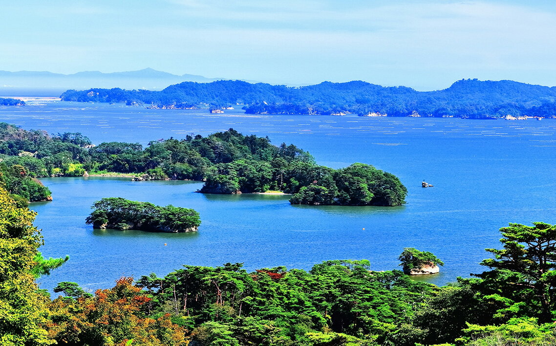 【ふるさと納税】 【令和7年度産】松島産ひとめぼれ5kg×6袋 ／ 新米 ササニシキ 10kg 松島 産地直送 精米 5kg×2 食味 炊き方 合うおかず 毎日ごはん ふっくら 甘み 食感 ギフト お取り寄せ 口コミ No.086 - 画像3