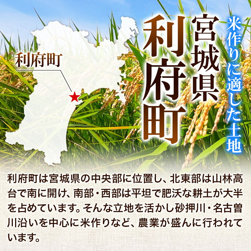 【ふるさと納税】【白米／無洗米 選べる】宮城県利府町産一等米ひとめぼれ10kg(5kg×2) - 画像2
