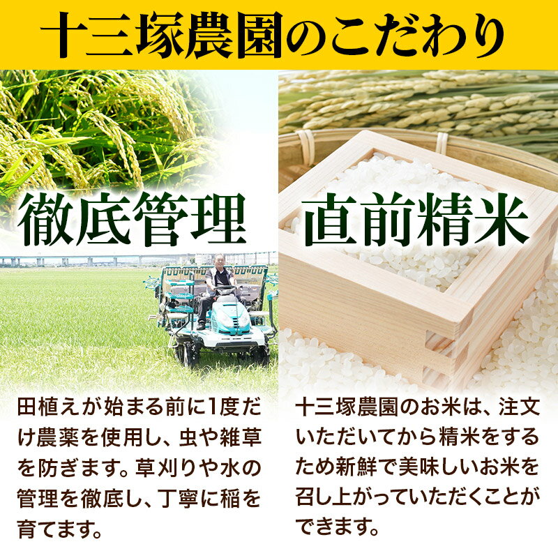 【ふるさと納税】【白米／無洗米 選べる】宮城県利府町産一等米ひとめぼれ10kg(5kg×2) - 画像3