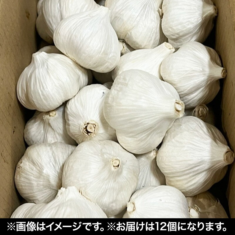 【ふるさと納税】宮城県利府町産 白にんにく（約45g×12個 約540g）野菜 国産 新鮮 - 画像2