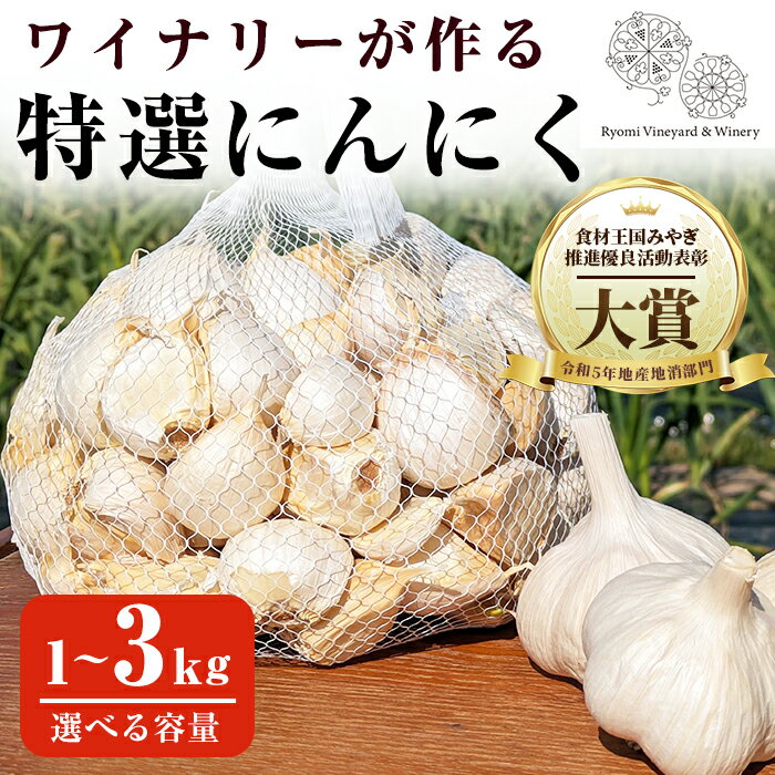 ワイナリーが作る特選にんにく 1〜3kg バラ 選べる容量 にんにく ニンニク ガーリック 了美ホワイト 六片種 ばら ホワイト六片 おつまみ ワイン 健康 食品 料理 産地直送 宮城県 大和町【了美ワイナリー】ta350・ta426