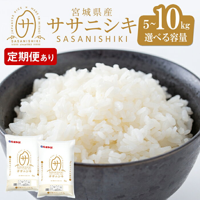 【令和7年産】宮城県産 ササニシキ 5kg〜10kg ＜定期便も可！＞ お米 おこめ 米 コメ 白米 ご飯 ごはん おにぎり お弁当 ささにしき 頒布会【株式会社パールライス宮城】ta204・ta573・ta595・ta596