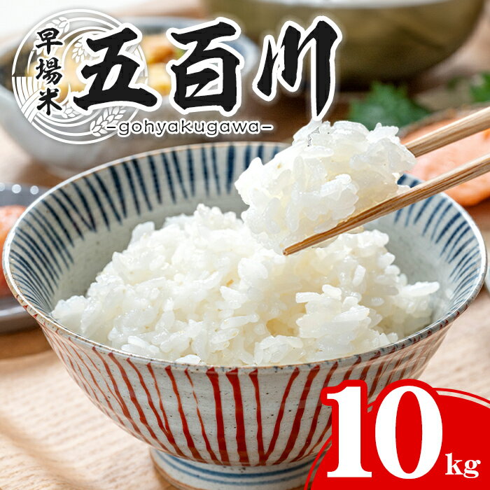 ＜令和7年産＞ 五百川 10kg お米 おこめ 米 コメ 白米 早場米 極早生品種 ご飯 ごはん おにぎり お弁当【赤間農業開発株式会社】ta459