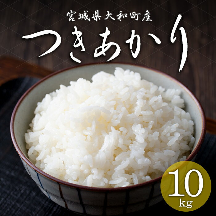 ＜令和7年産＞ つきあかり 10kg お米 おこめ 米 コメ 白米 ご飯 ごはん おにぎり お弁当【赤間農業開発株式会社】ta460