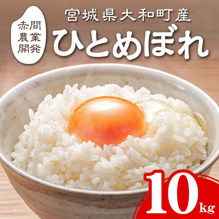 ＜令和7年産＞ひとめぼれ 10kg お米 おこめ 米 コメ 白米 ご飯 ごはん おにぎり お弁当【赤間農業開発株式会社】ta461