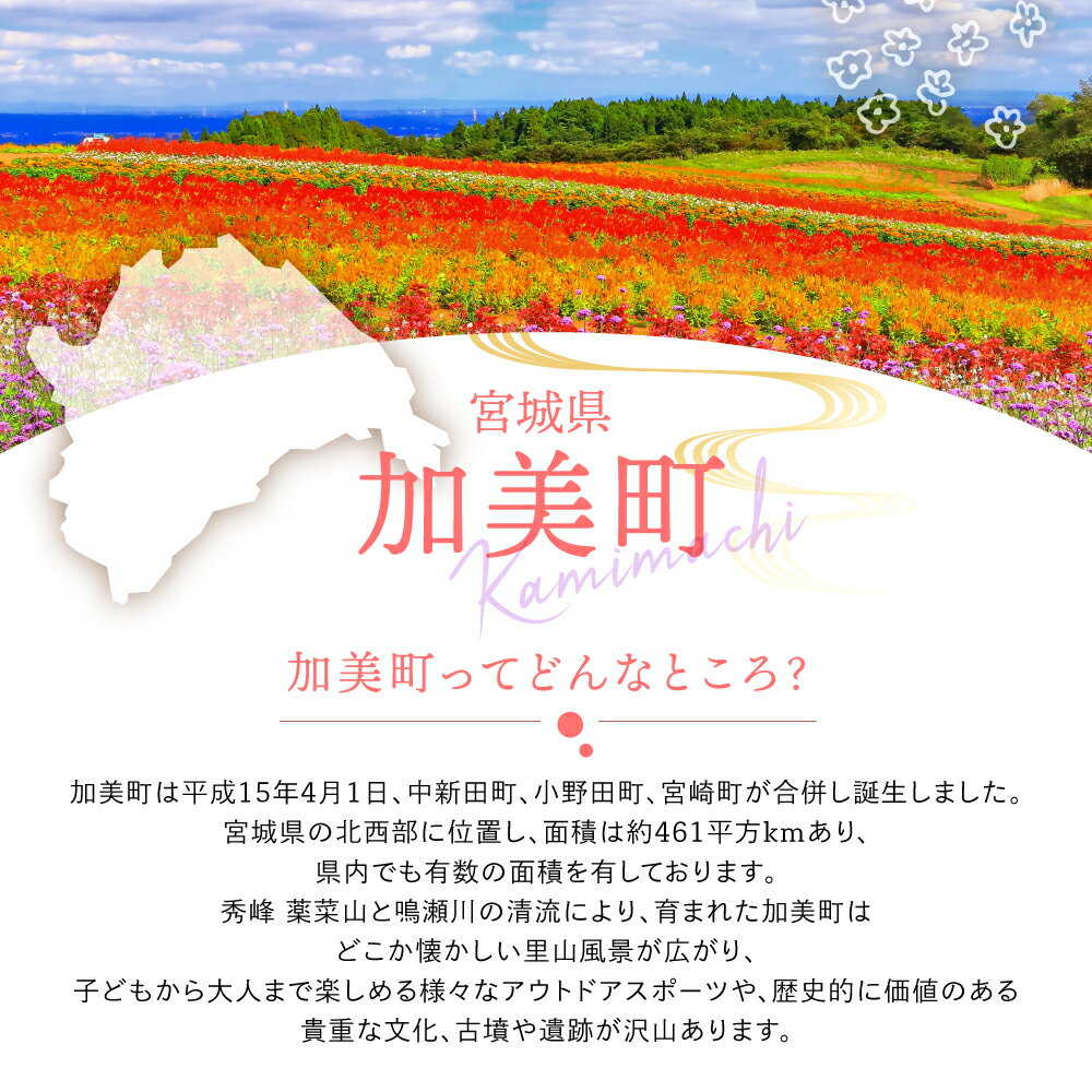 【ふるさと納税】【ミシュラン3つ星店も使用】ミソルト50g [今野醸造 宮城県 加美町 44581364] 味噌パウダー 粉末調味料 調味料 簡単 サムネイル2