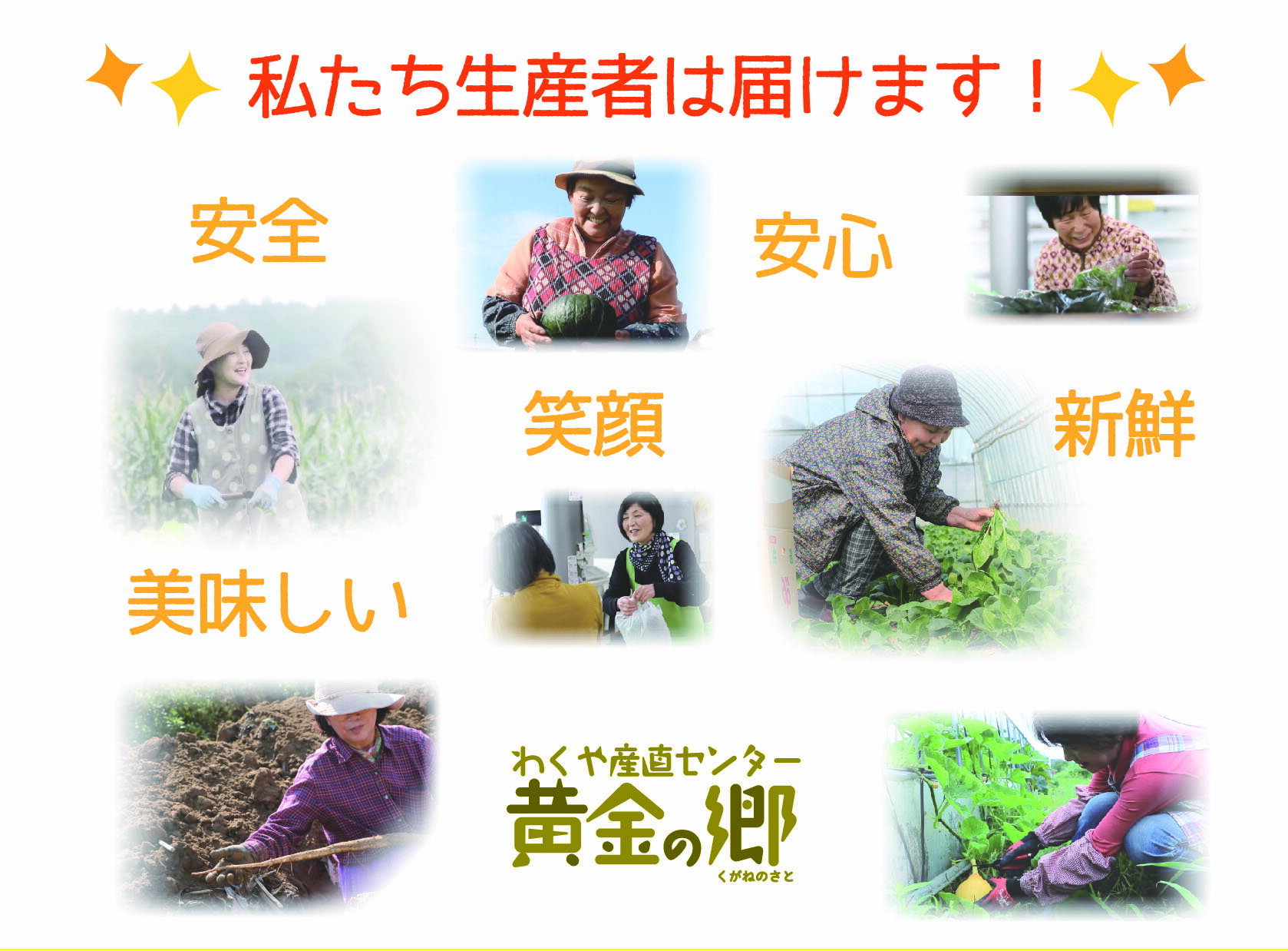 【ふるさと納税】黄金の郷 季節のお野菜 お楽しみBセット / 野菜 やさい セット 詰め合わせ 旬 新鮮 産地直送 朝採れ 送料無料 ※配送不可地域あり - 画像2