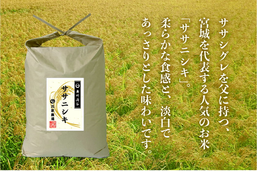 【ふるさと納税】令和7年産 氏家農場のこだわりのお米「ササニシキ」10kg 玄米 ◇ | ご飯 玄米 ブランド米 栽培期間中 化学肥料 農薬 不使用 主食 おにぎり お弁当 炭水化物 香り ツヤ あっさり ※2025年10月中旬頃より順次発送予定 - 画像2