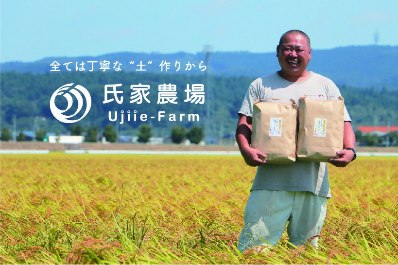 【ふるさと納税】令和7年産 氏家農場のこだわりのお米「ササニシキ」10kg 玄米 ◇ | ご飯 玄米 ブランド米 栽培期間中 化学肥料 農薬 不使用 主食 おにぎり お弁当 炭水化物 香り ツヤ あっさり ※2025年10月中旬頃より順次発送予定 - 画像3