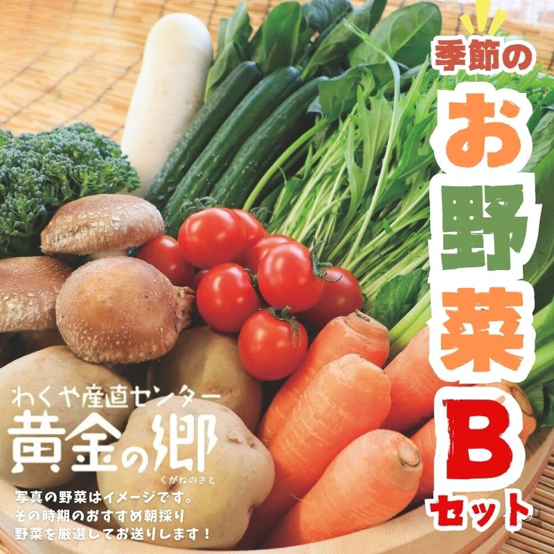 黄金の郷 季節のお野菜 お楽しみBセット / 野菜 やさい セット 詰め合わせ 旬 新鮮 産地直送 朝採れ 送料無料 ※配送不可地域あり