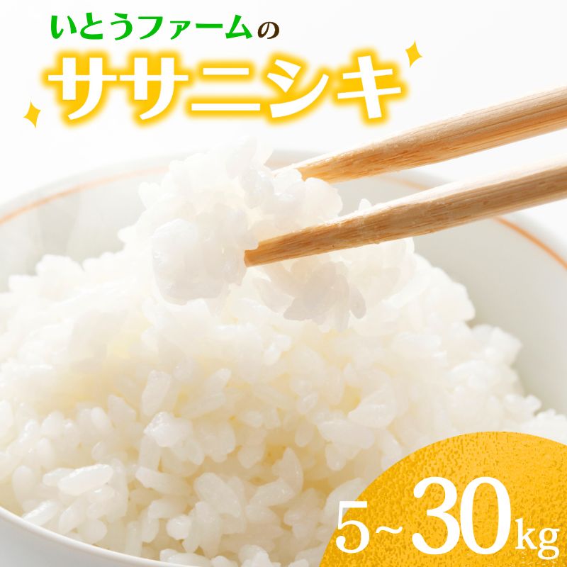 ☆総合ランキングイン☆ ≪新米予約≫ いとうファームの 令和8年産 ササニシキ 5~30kg ＆うれしい定期便 選べる容量 | 定期便 米 お米 こめ 白米 ご飯 ライス ササニシキ 産地直送 数量限定 ブランド米 送料無料 ※2026年11月より順次発送予定