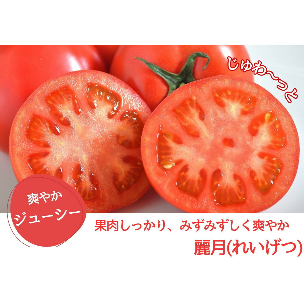 デリシャスファームのトマト(麗月)4キロ箱 | 美里町 デリシャスファーム 人気 トマト 美味しい 新鮮 こだわり栽培 健康食材 サラダ用 料理用 農産物 おすすめ 送料無料
