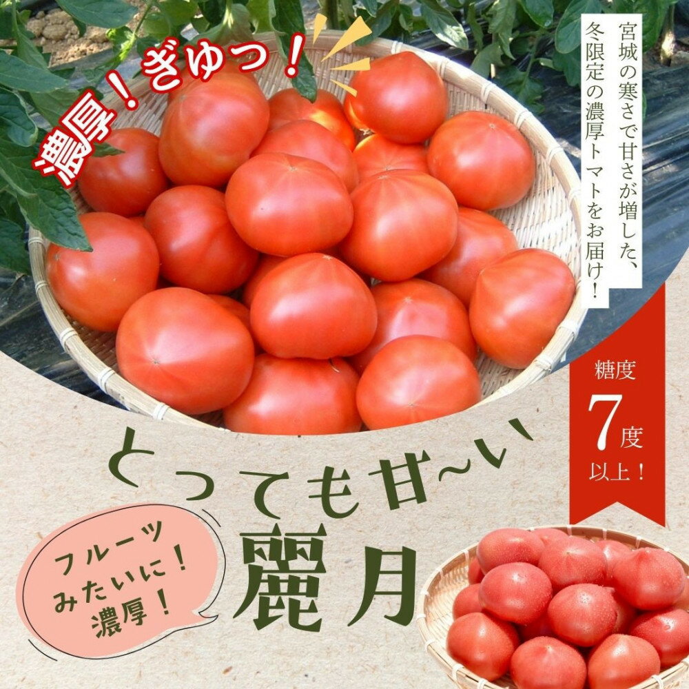 【糖度7度以上！】甘い★麗月トマト3kg | 野菜 やさい 食品 人気 おすすめ 送料無料