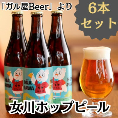 女川ホップピール(発泡酒)6本セット　宮城 500ml 瓶【配送不可地域：離島】【1384252】