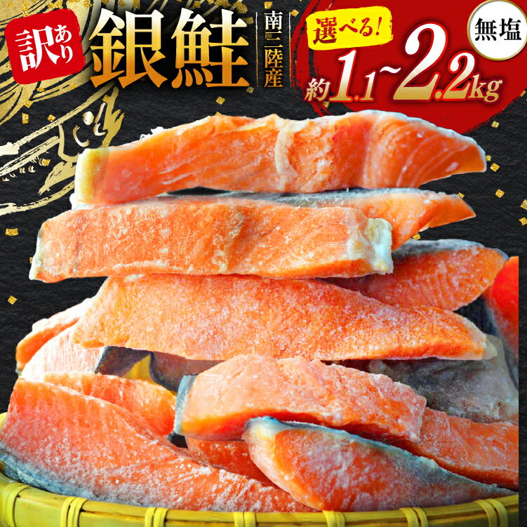 訳あり 三陸産 銀鮭 切身 【選べる内容量】 [阿部長商店 宮城県 南三陸町 m304amh530009] 魚介類 魚 鮭 海鮮 さけ サケ 鮭切身 シャケ 切り身 訳アリ おかず 弁当 サーモン 銀鮭切り身 国産 無塩 規格外 無塩鮭 不揃い 冷凍 家庭用 わけあり 1.1kg 2.2kg