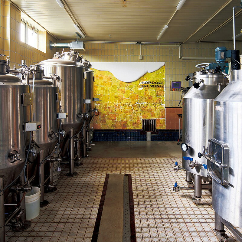 【ふるさと納税】《定期便12ヶ月》クラフトビール缶 毎月5本セット【ホップドッグブルーイング】 サムネイル3