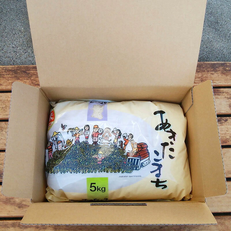 【ふるさと納税】【新米 令和7年産】五ツ星お米マイスターの太鼓判！あきたこまち 5kg 秋田県産 - 画像3