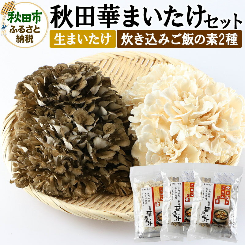 秋田華まいたけ 生まいたけと加工セット 黒まいたけ 約500g 白まいたけ 約500g 炊き込みご飯の素 黒×2パック 炊き込みご飯の素 白×1パック 舞茸