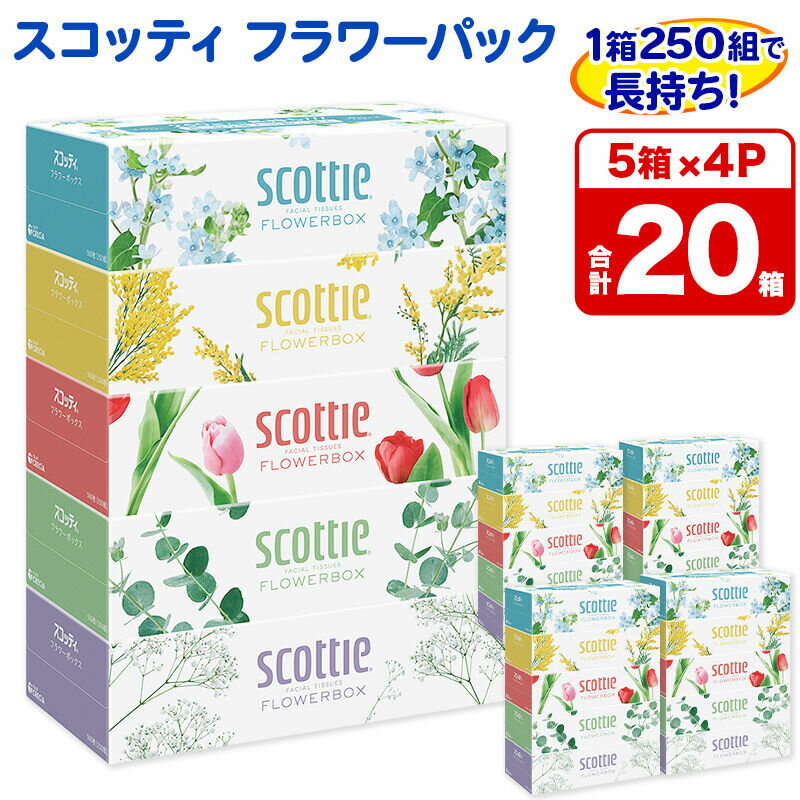 ティッシュペーパー スコッティ フラワーボックス250組 20箱(5箱×4パック) ティッシュ 秋田市オリジナル 新生活 [ティッシュ ボックスティッシュ 新生活]