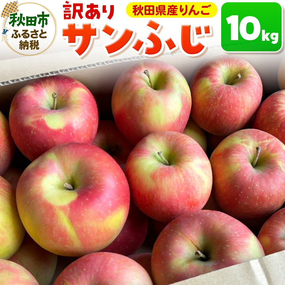 【訳あり】サンふじ 10kg りんご リンゴ 林檎【天抜き箱で発送】