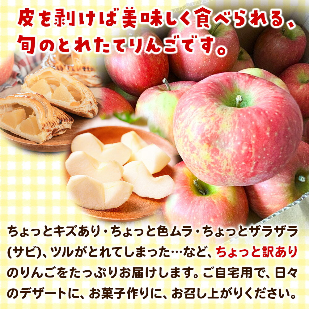 【ふるさと納税】【訳あり】サンふじ 10kg りんご リンゴ 林檎【天抜き箱で発送】 サムネイル2