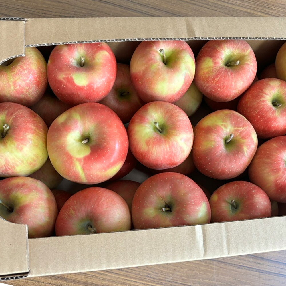 【ふるさと納税】【訳あり】サンふじ 10kg りんご リンゴ 林檎【天抜き箱で発送】 サムネイル3