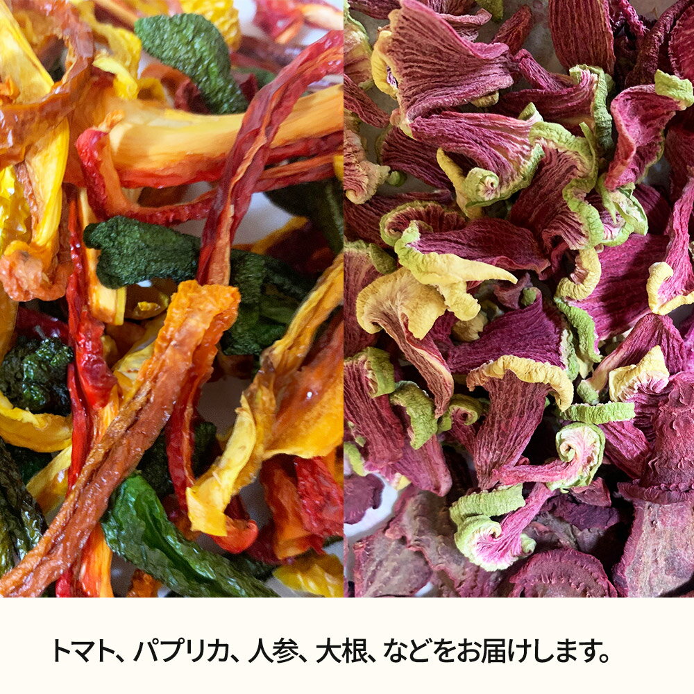 【ふるさと納税】中田商店謹製 ドライベジタブル 季節のおまかせ5種セット 25g以上×各1袋 サムネイル2