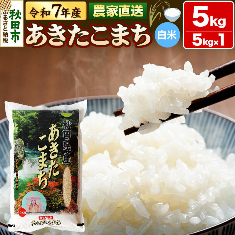 米 あきたこまち 5kg 令和7年産 白米 田口商店 農家直送 秋田県産
