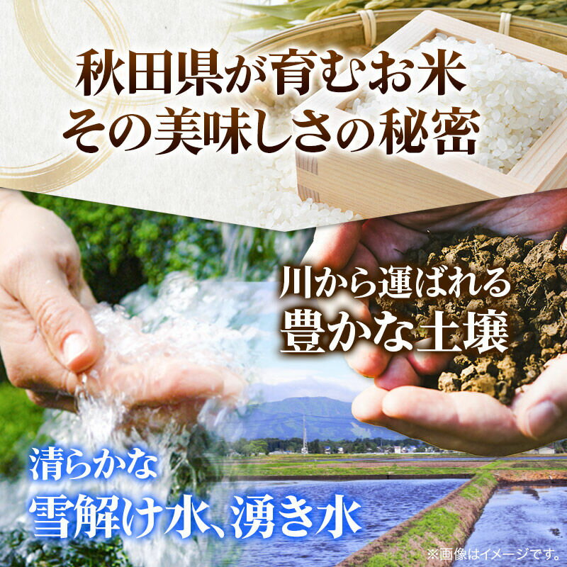 【ふるさと納税】米 あきたこまち 5kg 令和7年産 白米 田口商店 農家直送 秋田県産 - 画像3