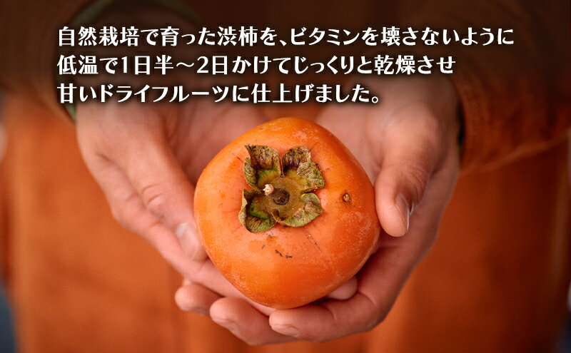 【ふるさと納税】北限の柿 ドライ 40g 柿のドライフルーツ 秋田県産 お菓子 スイーツ 　お届け：2026年2月1日～2026年2月28日 サムネイル3