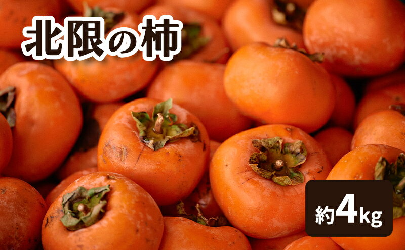【ふるさと納税】秋田県産 北限の柿 4kg 果物類 [ カキ 柿 かき 果物] 　お届け：2026年2月1日～2026年2月28日 サムネイル2