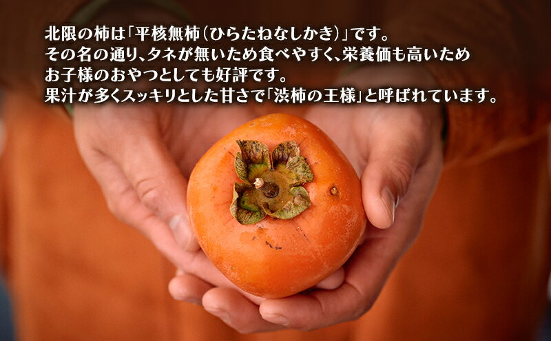 【ふるさと納税】秋田県産 北限の柿 4kg 果物類 [ カキ 柿 かき 果物] 　お届け：2026年2月1日～2026年2月28日 サムネイル3