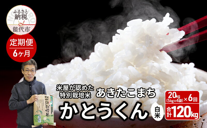 【ふるさと納税】《定期便6ヶ月》【令和7年産】【白米】特別栽培米 秋田県産 あきたこまち 米屋が認めたお米 「かとうくん」20kg（5kg×4袋）×6回 合計120kg　お届け：2025年12月中旬頃より順次出荷予定 - 画像2