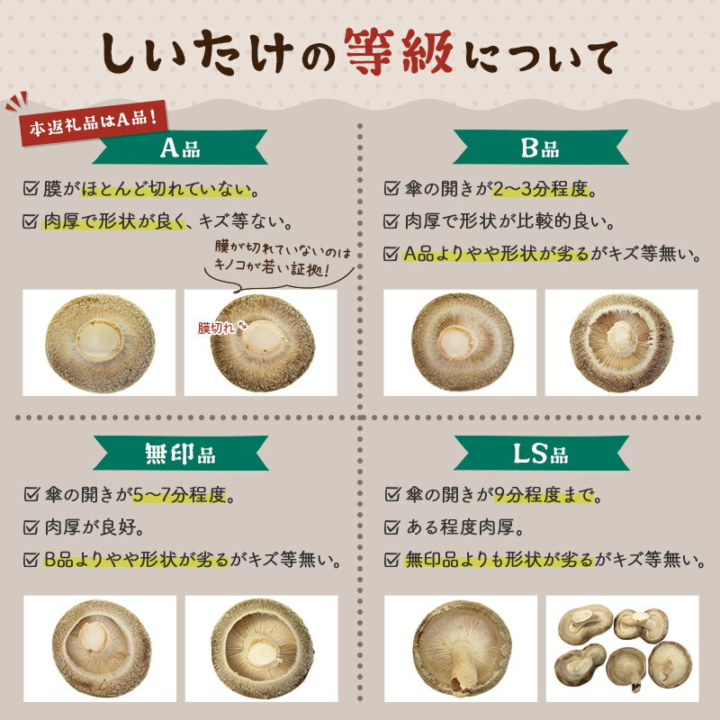 【ふるさと納税】しいたけ A級品 Mサイズ 約800g(約100g(6〜8個入)×8パック) - 画像3